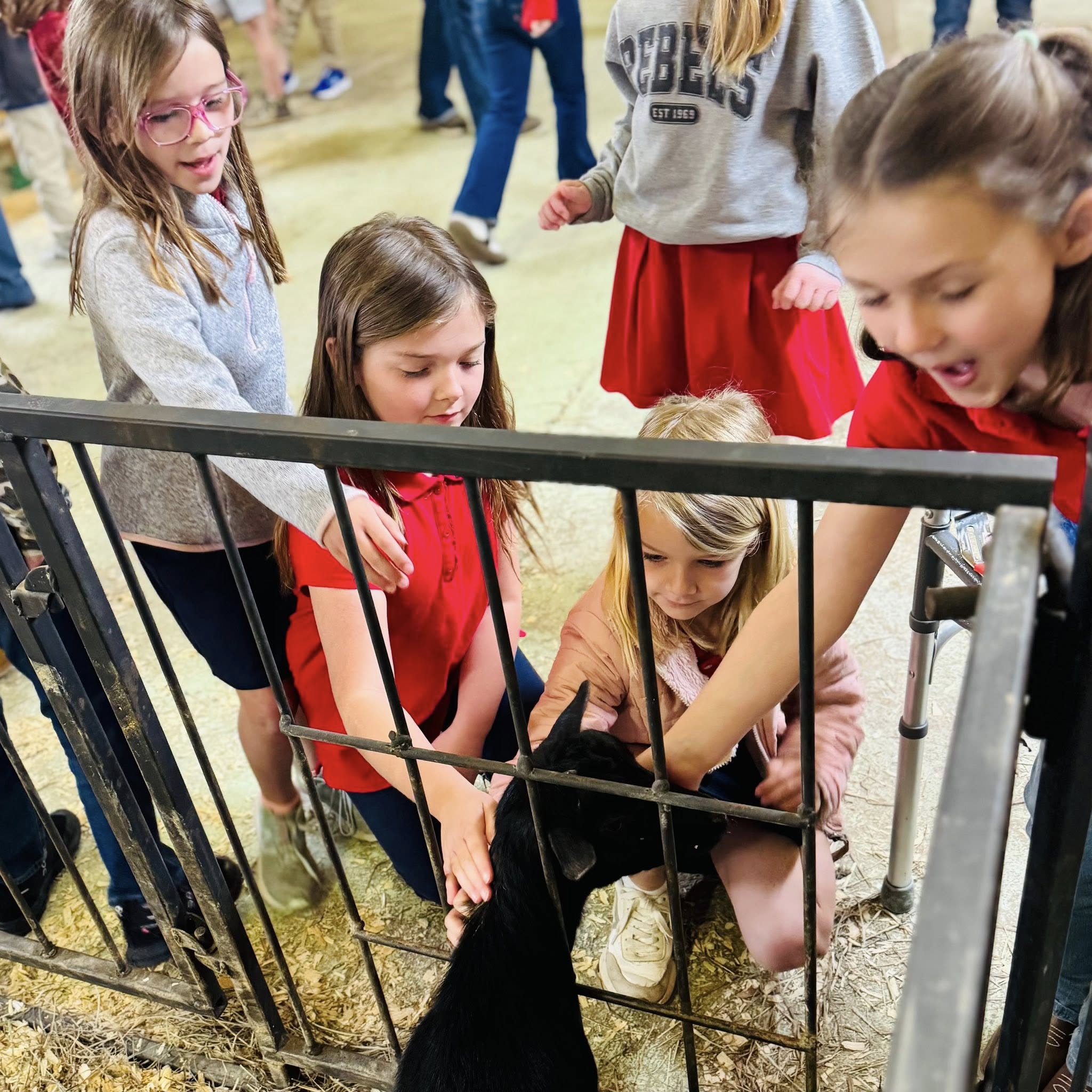 Some kids petting a goat through a wire fence.